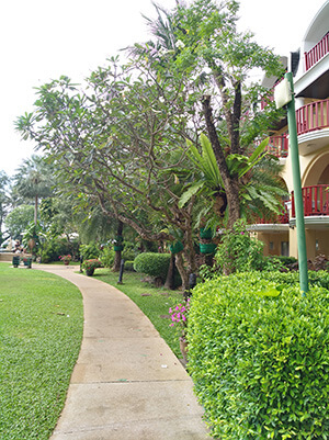 Phuket Graceland Resort & Spa 4* основной корпус 1