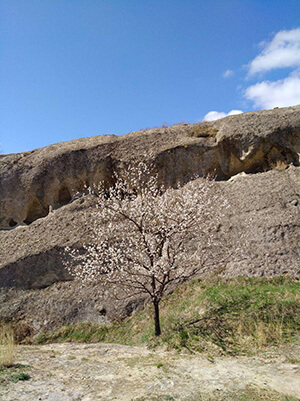Древний пещерный город IV века Уплисцихе